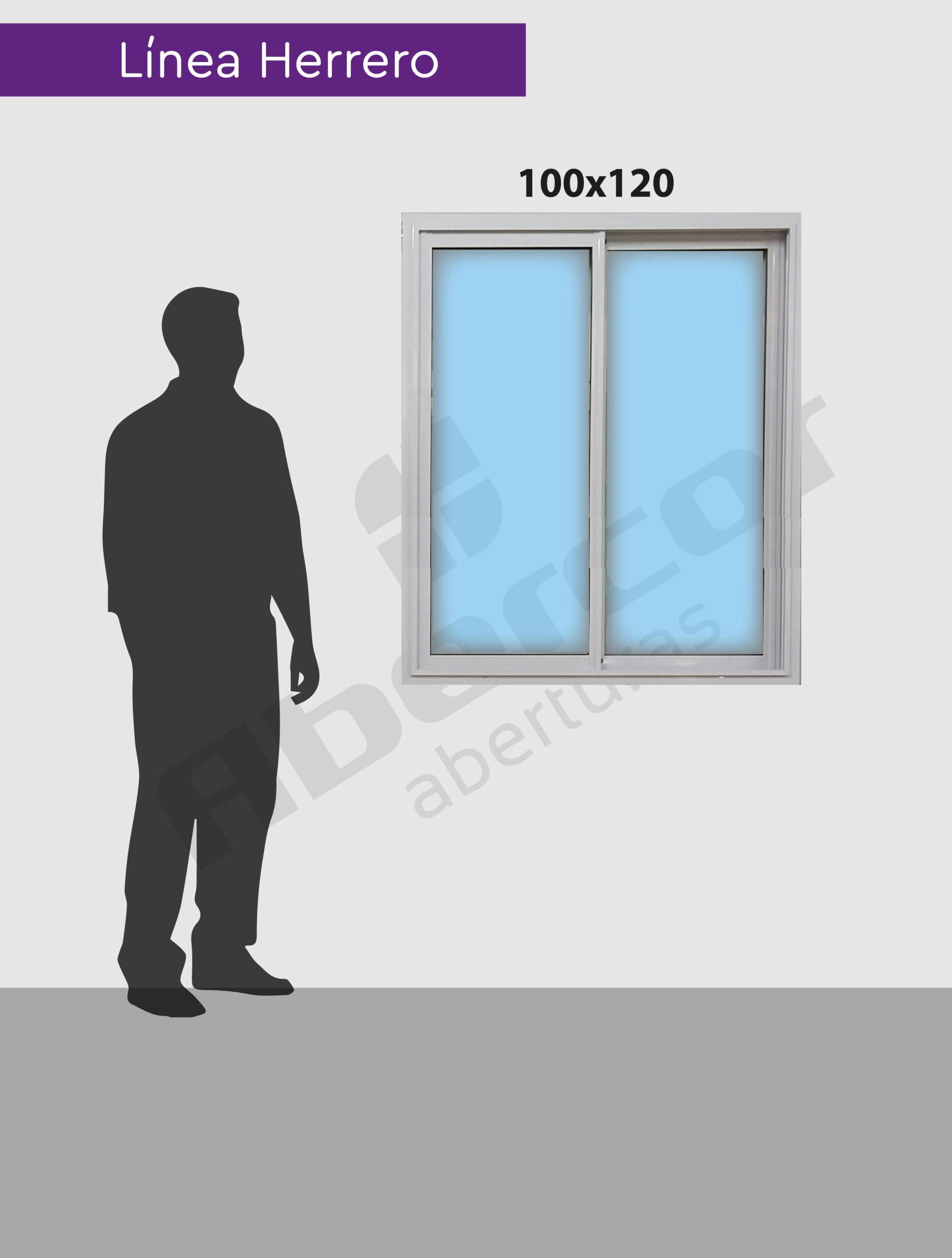 100x120