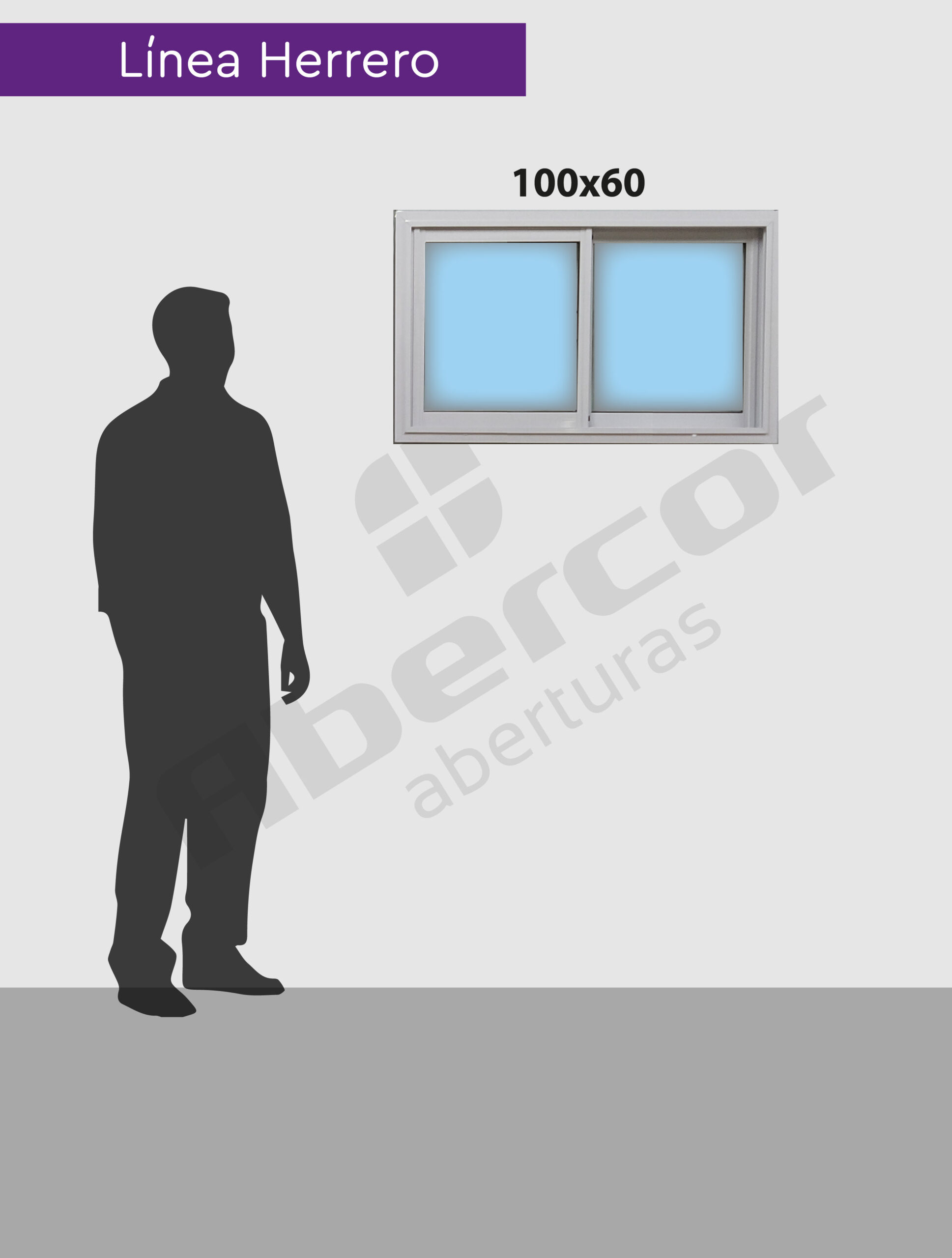 100x60